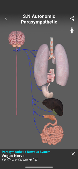 Osteopathy Genius - 3D Maps Screenshot 3 of 7