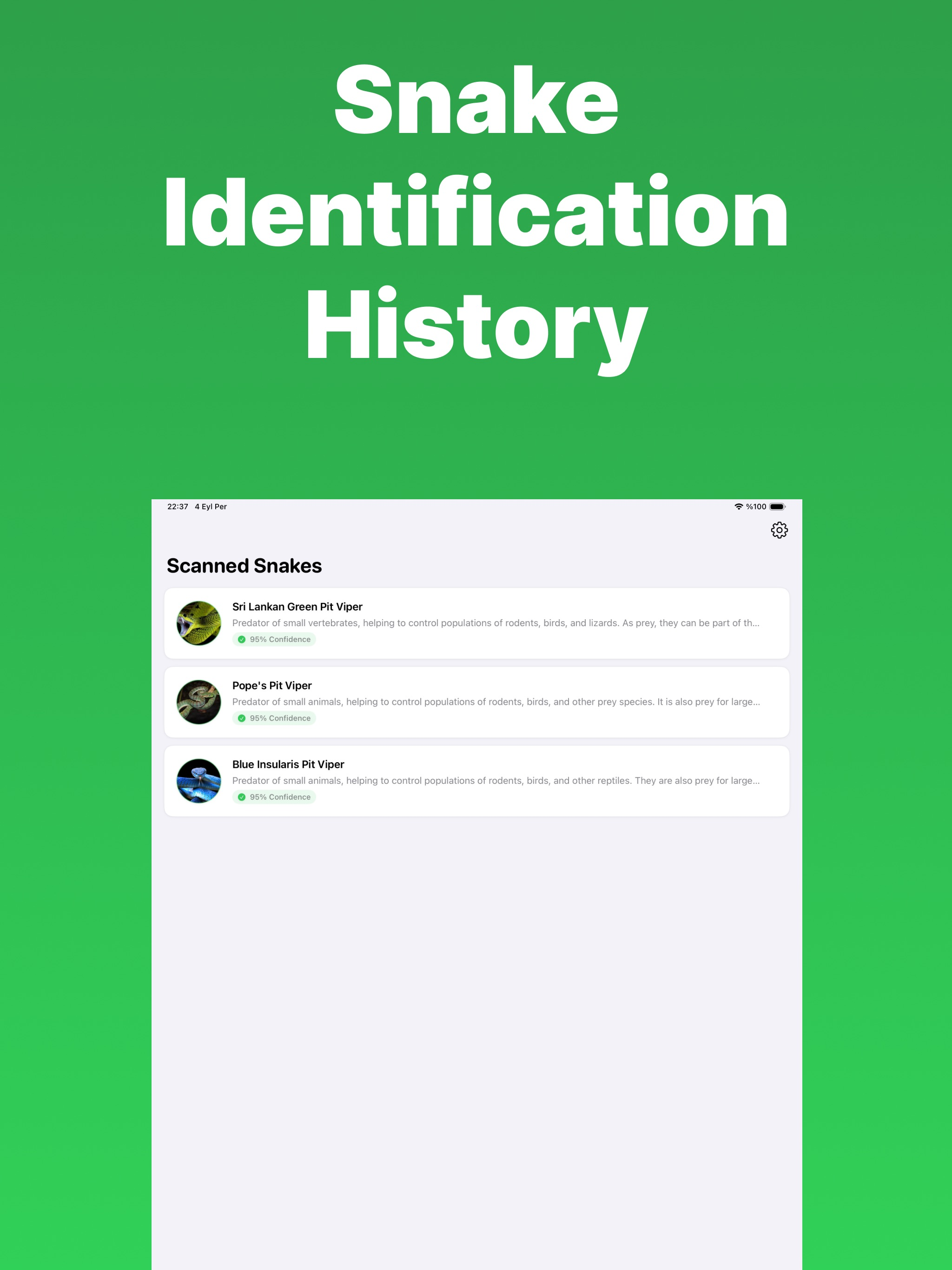 Snake Identifier - Snapey