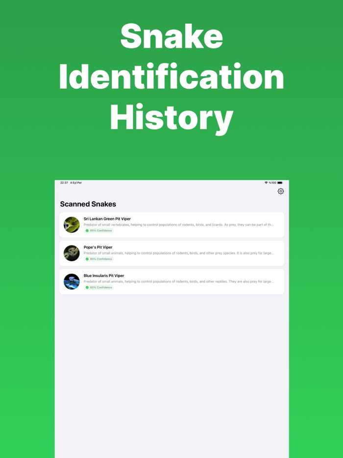 Snake Identifier - Snapey