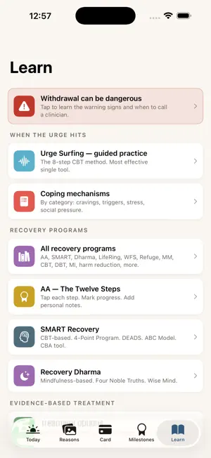 Sober Now screenshot 2