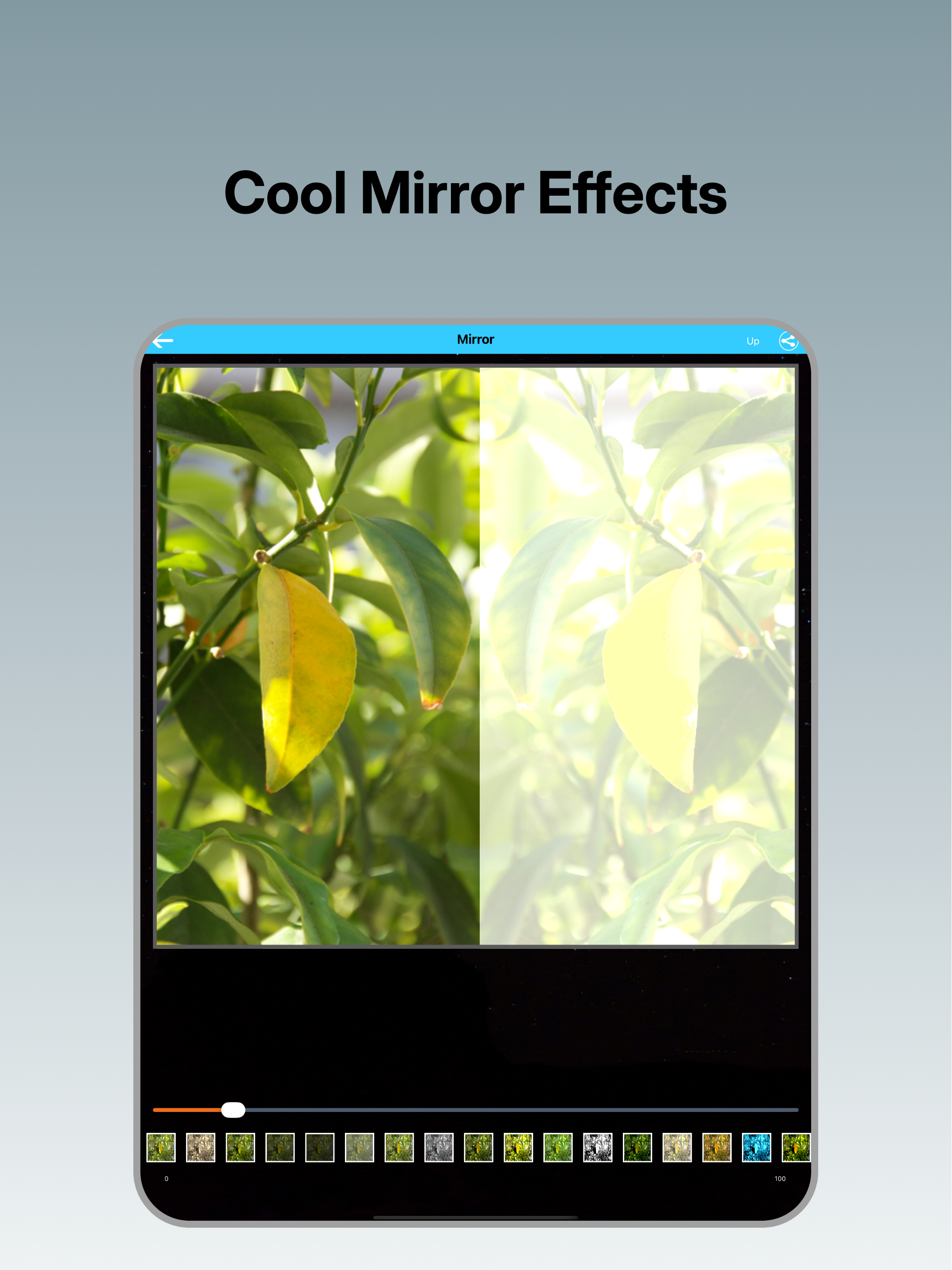 Photo Mirror- Unlimited screenshot 6