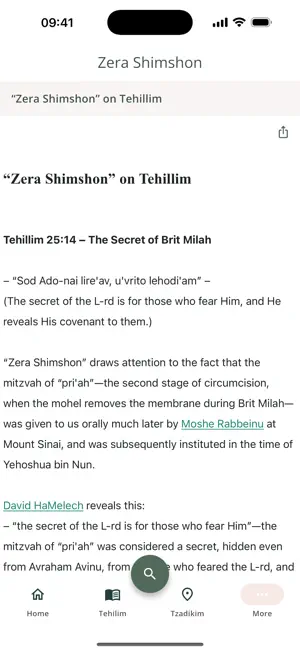 Sila Tehilim screenshot 4
