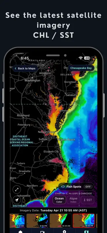 Wavemaps: Wave Forecasts screenshot 9 of 9