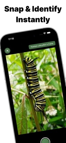CaterID Caterpillar Identifier Screenshot 3 of 6