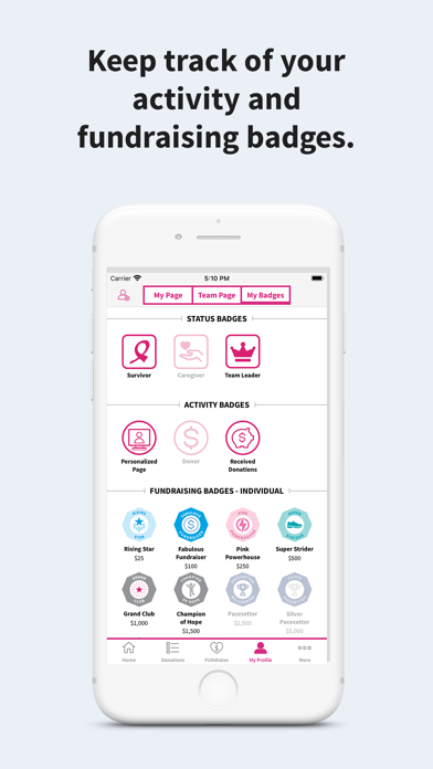 ACS FUNdraising Screenshot