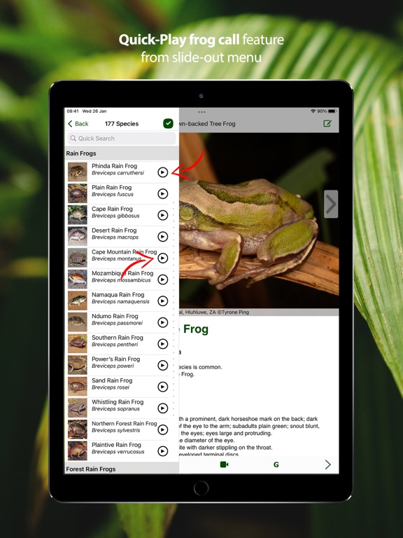 Frogs of Southern Africa iPad screenshot 6 - Reference app