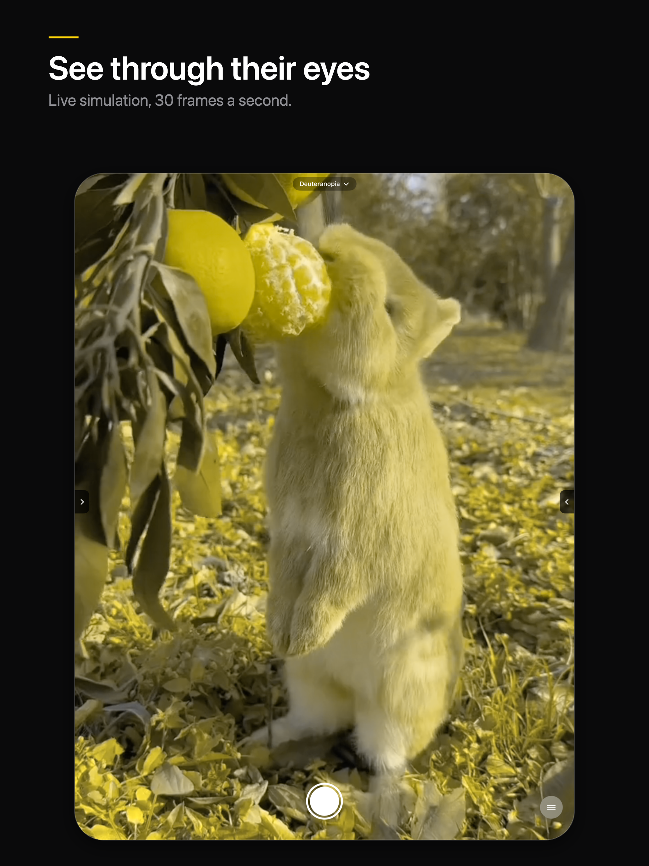 ColorDeBlind screenshot 13