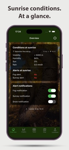 Forest Weather Screenshot 1 of 10