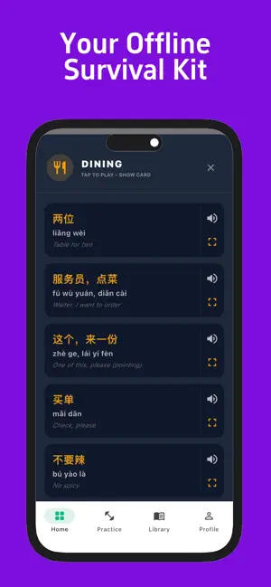 Nana Chinese: Speak & Learn screenshot 2