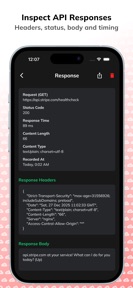 Hapi – API Health Checks screenshot