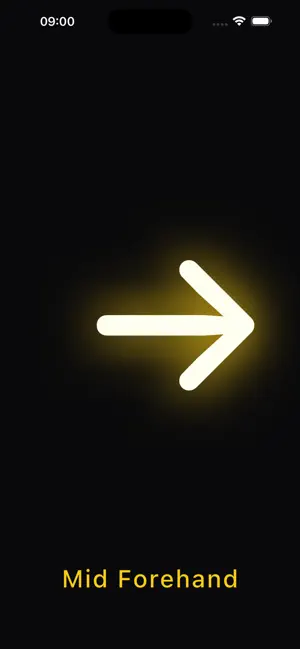 FlashStep screenshot 2