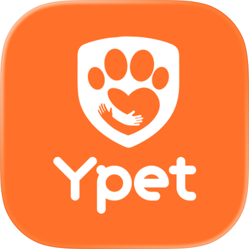Ypet