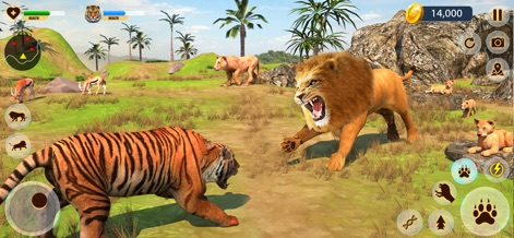 Lion Hunting Simulator Game - Witness the powerful lion engaging in a fierce battle with a tiger, while observing small lion cubs in the background.