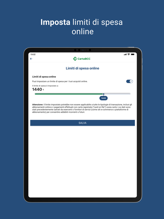MyCartaBCC iPad screenshot 7 - Finance app