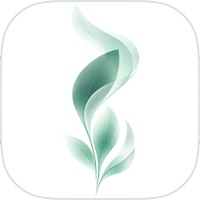 Kivo: 盆底肌训练器
