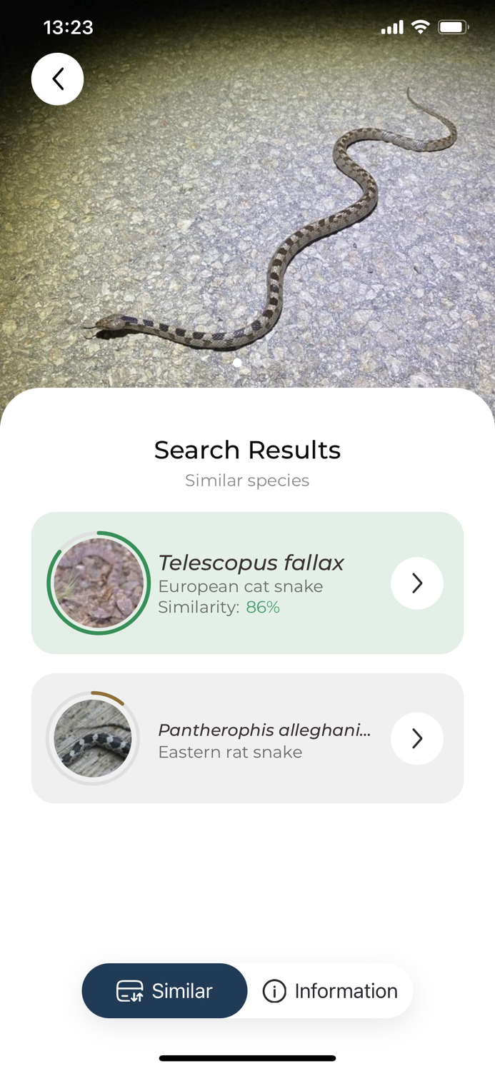 Snake name - identify snakes