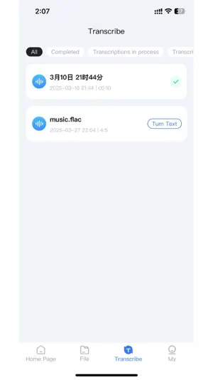 AI Speech to Text-Helper screenshot 3