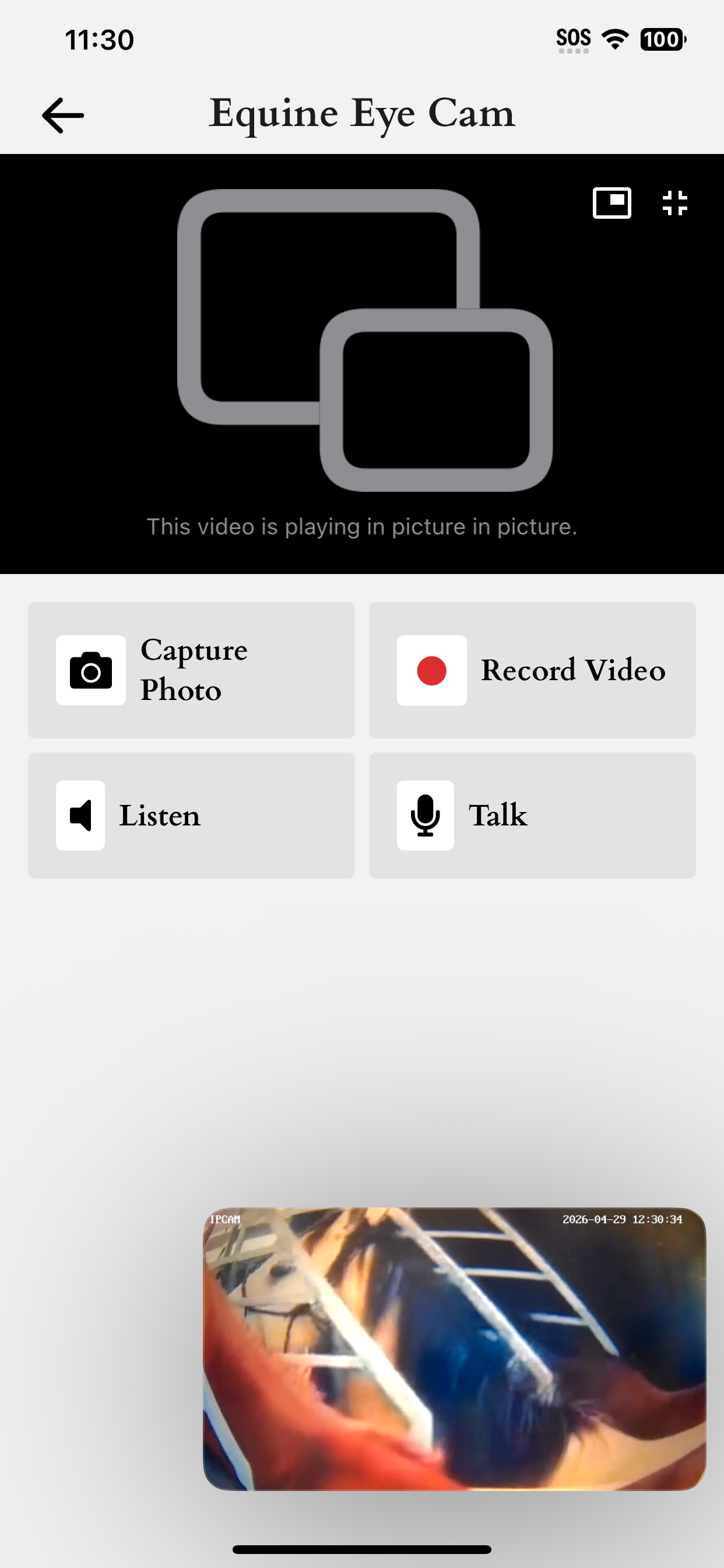 Equine Eye Voyager screenshot 3