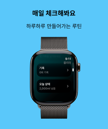 물리미