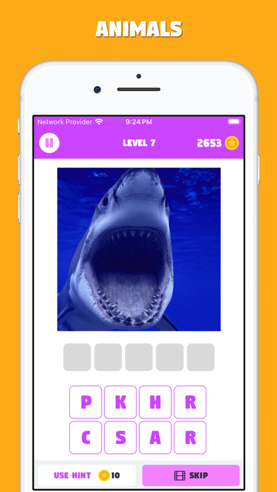 Picture 100: Guess the Picture Screenshot