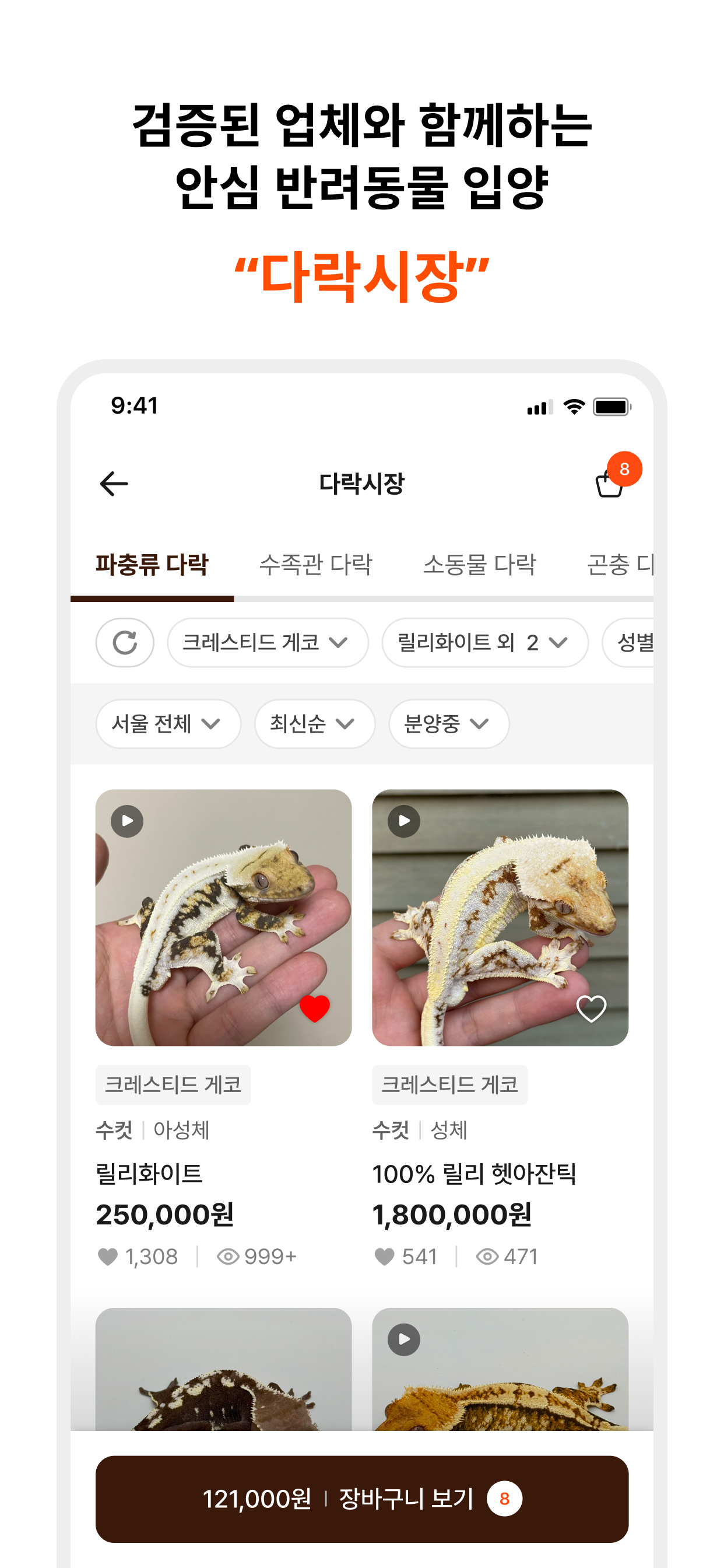 동물다락 - 열대어,파충류, 이색 반려동물 입양 플랫폼