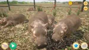 Hippo’s World: A Daily Tale screenshot 1