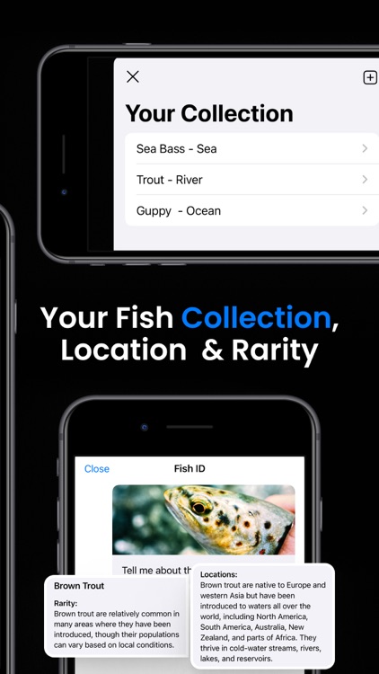 Fish ID - Identify & Info screenshot-4