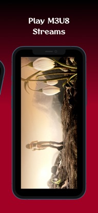 M3U8 Stream Player: TV & Video screenshot 2