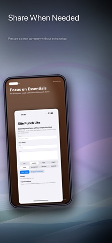 Site Punch Lite screenshot