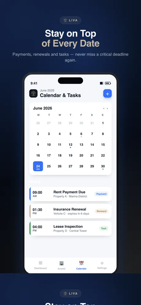 Liva Fdn screenshot 2