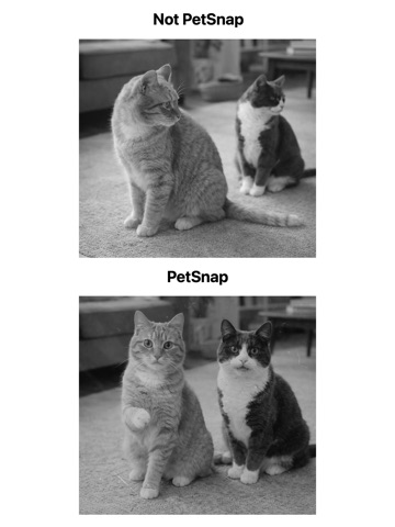 PetSnap - Camera iPad screenshot