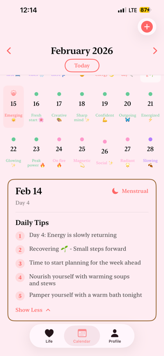Spaghetti Cat - Period Tracker Screenshot 9 of 10