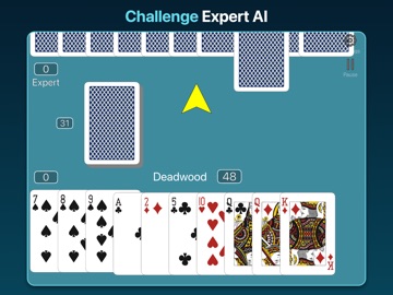 Real Gin Rummy - No Ads! iPad screenshot