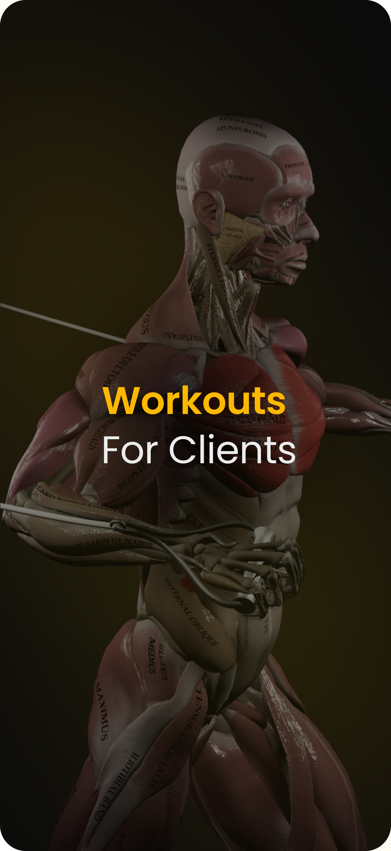 WORKOUTS by Muscle & Motion