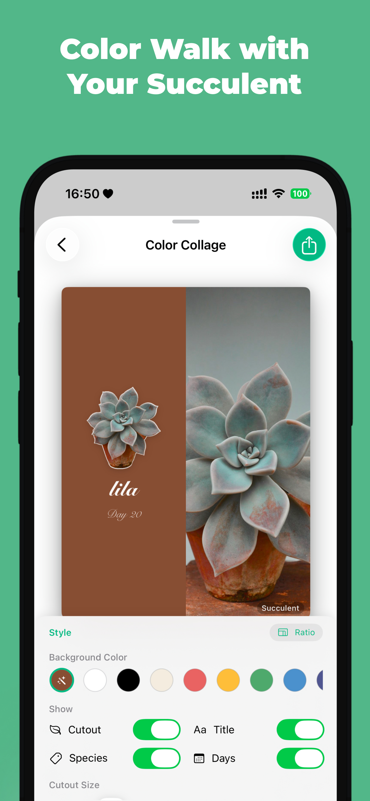 Succulent: Cactus Care Journal