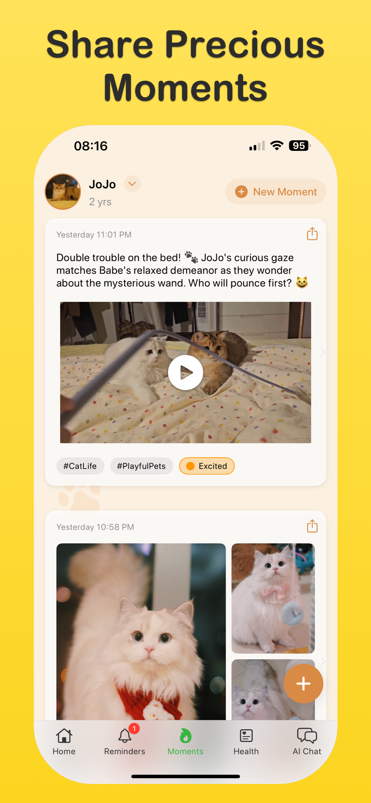 CatStory - Cat Pet Care screenshot 3