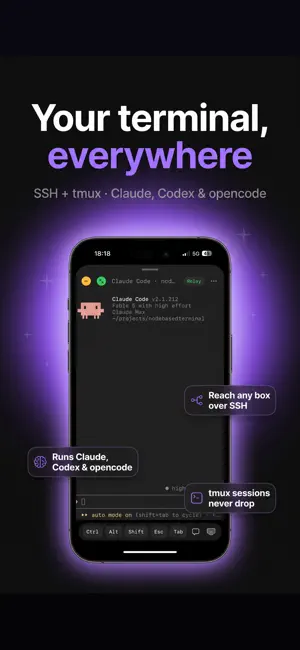Nodeterm iPhone screenshot 1