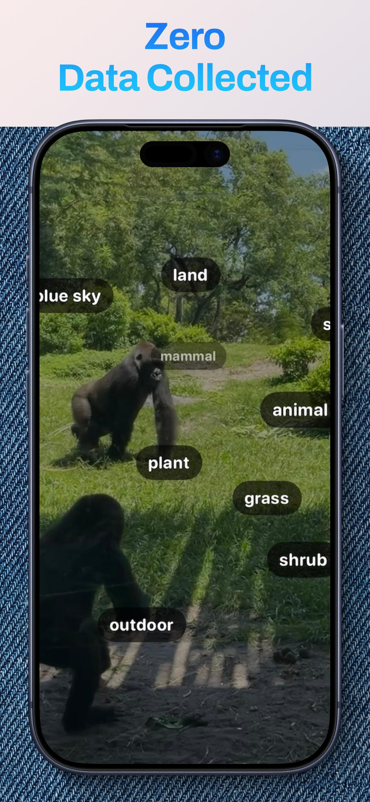 ditl - Auto Video Editor screenshot 3