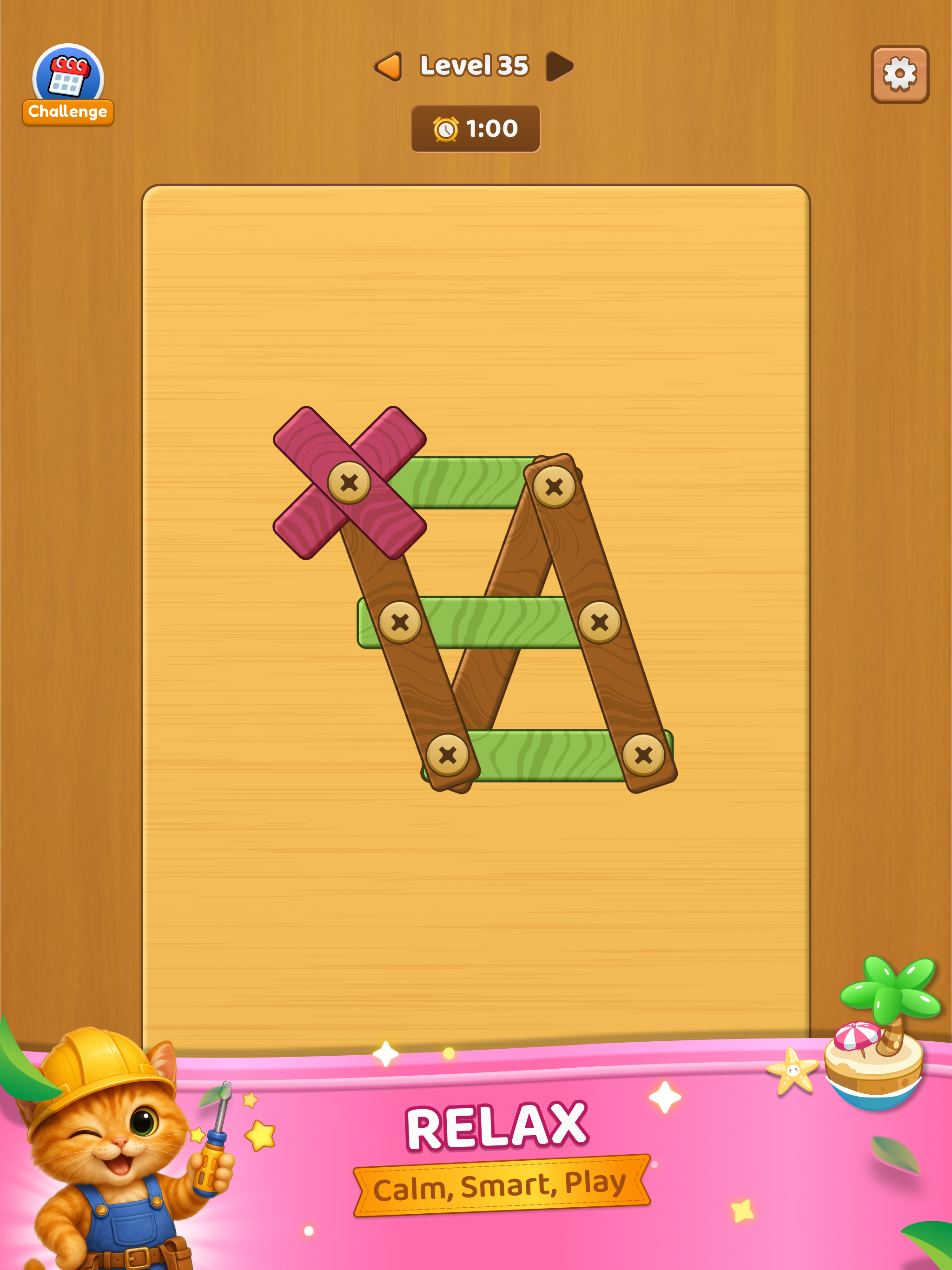 Nuts and Bolts: Screw Puzzles