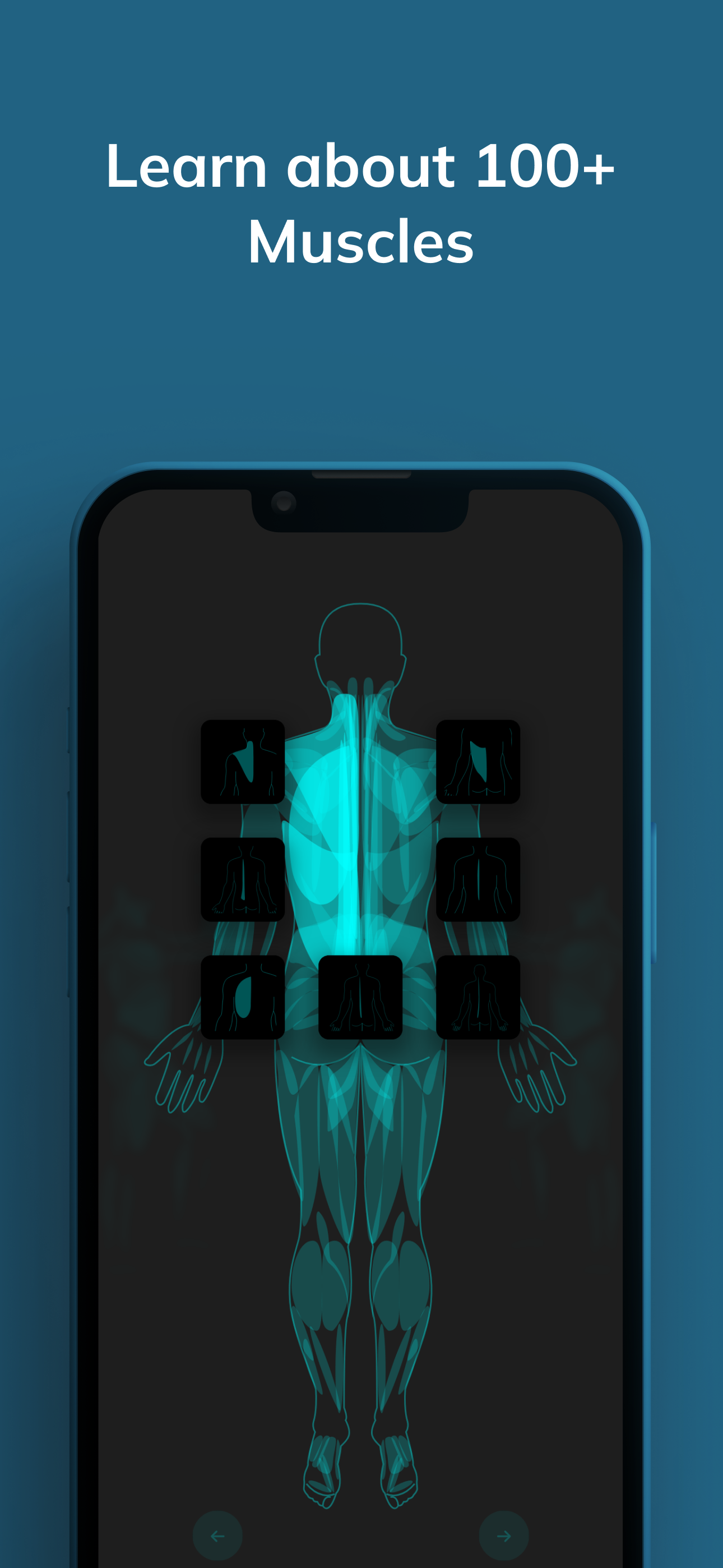 StretchCoach: Pain Relief