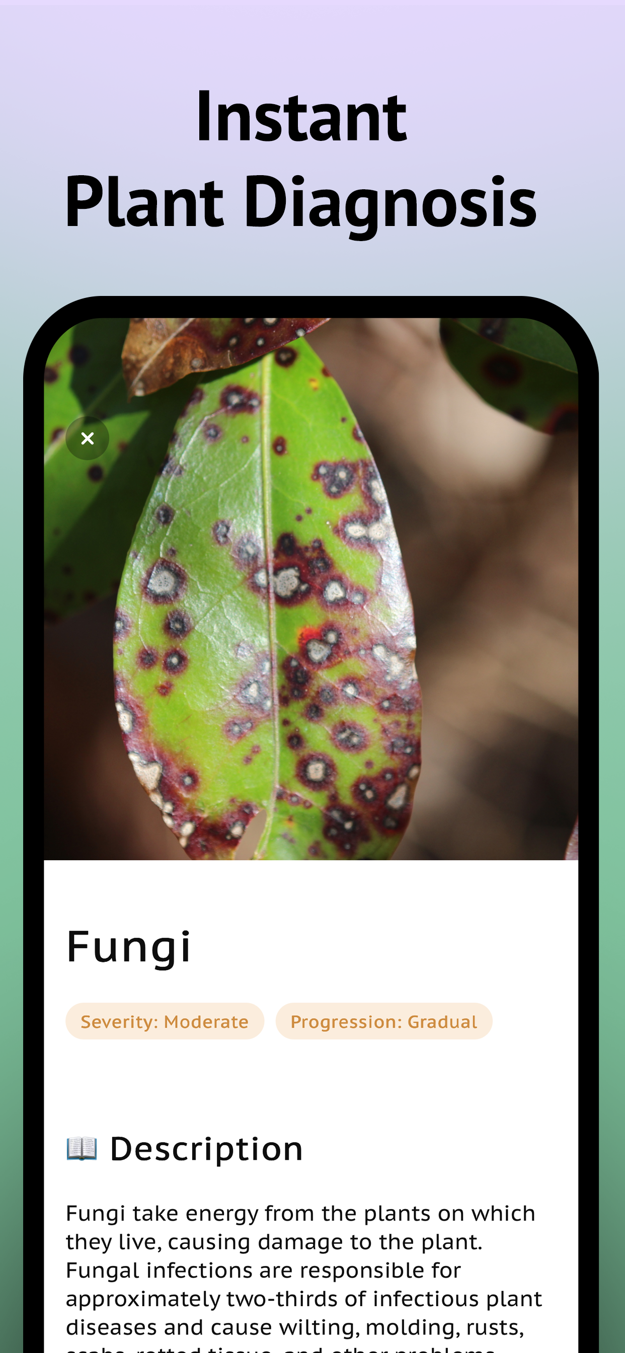 Diagnose Plant Problems App screenshot 7