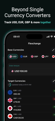 Currency Converter Flexchange screenshot