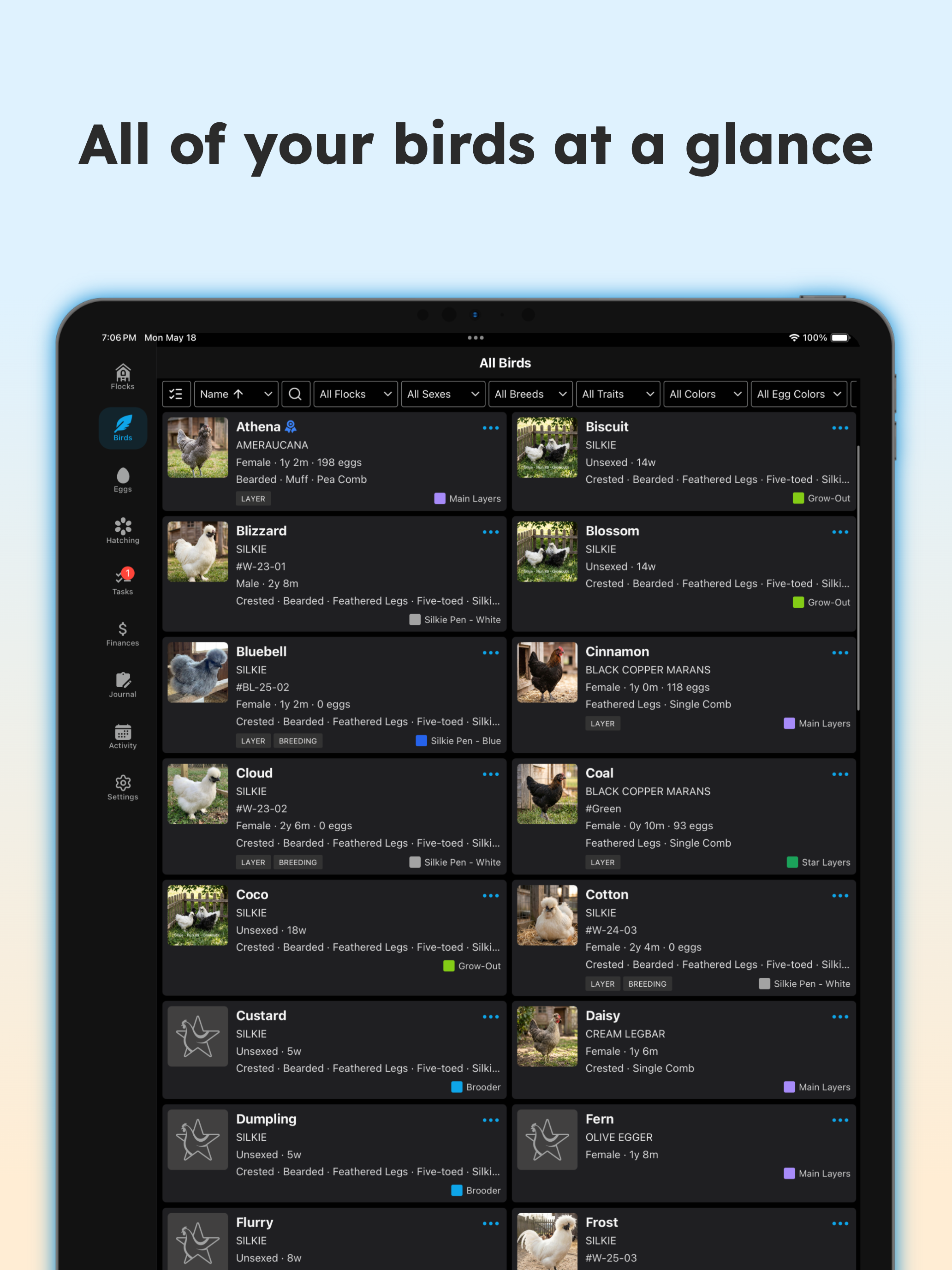Flockstar screenshot 12