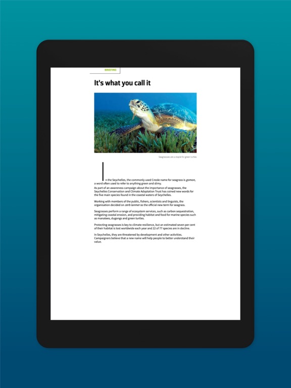 Screenshot #5 pour DIVE Magazine