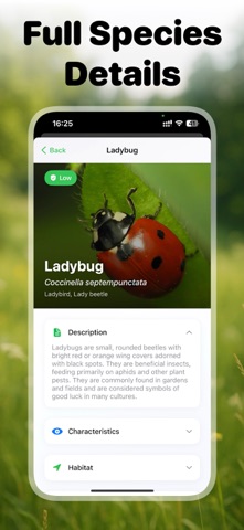 Picture Insect: Bug ID Screenshot 9 of 10