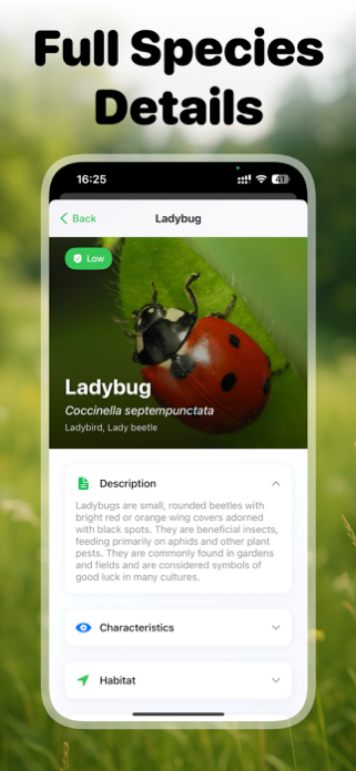 Picture Insect: Bug ID Screenshot 9 of 10