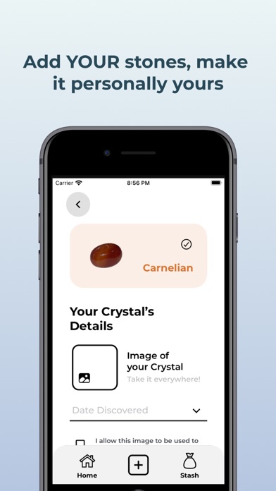 Stash - Crystals & Stones Screenshot