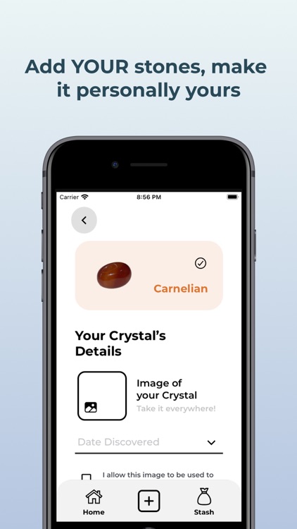 Stash - Crystals & Stones