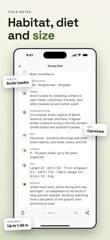 Animal Identifier: Wildlife ID iPhone screenshot