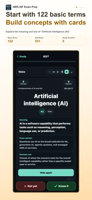 AWS AIF AI Practitioner screenshot 2